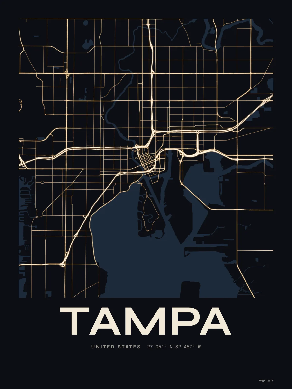 Tampa map print